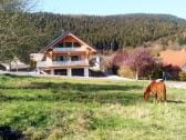 Steinbach See Lodges - "Kanada in Germany"