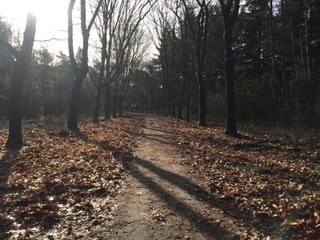 Vakantiehuis Heeze-Leende Omgeving 32