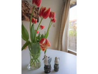 Casa per le vacanze Callantsoog Caratteristiche 14