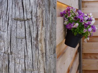 Casa per le vacanze Callantsoog Registrazione all'aperto 4