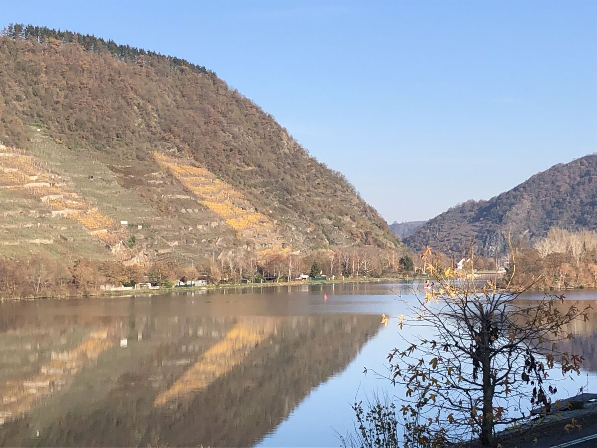 Blick vom Balkon im Herbst