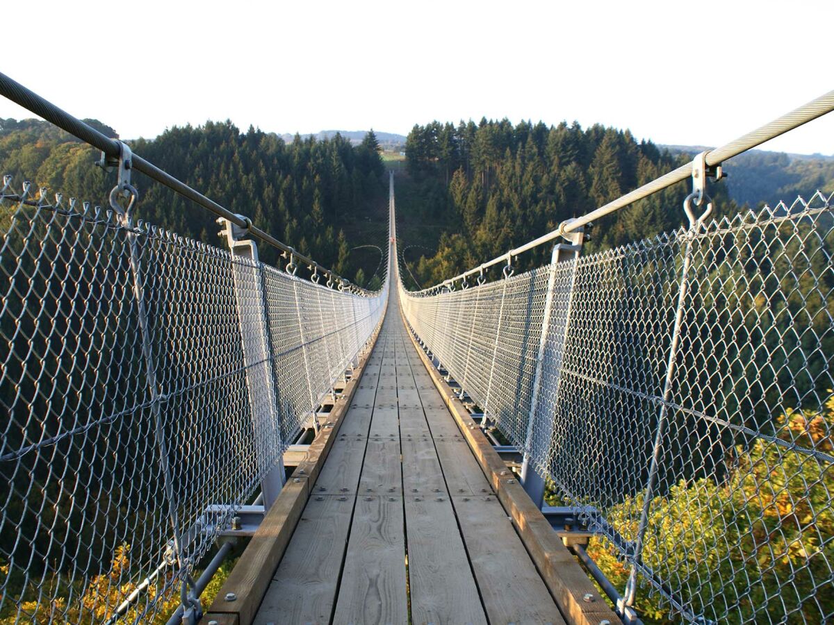 Geierlay- Hängeseilbrücke