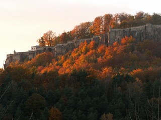 Festung Königstein