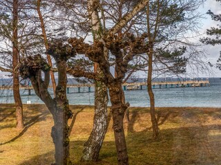 Appartamento per vacanze Binz Registrazione all'aperto 5