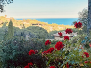 Garten und Fernblick