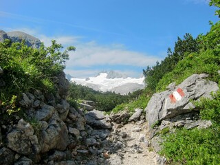 Vakantiehuis Hallstatt Omgeving 36