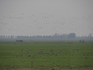 Residenza Warder (Holland) Registrazione all'aperto 4