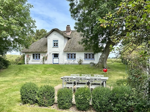 Ferienhaus Deichgut