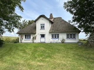 Deichgut in absoluter Alleinlage - bei St. Peter-Ording