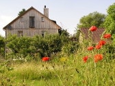 Gartenseite im Sommer