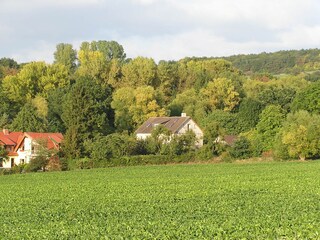 Die Alte Grube im Herbst