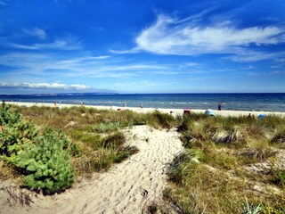 Ostseestrand in 30 Metern Entfernung