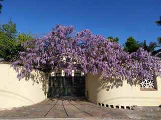 Entrata principale