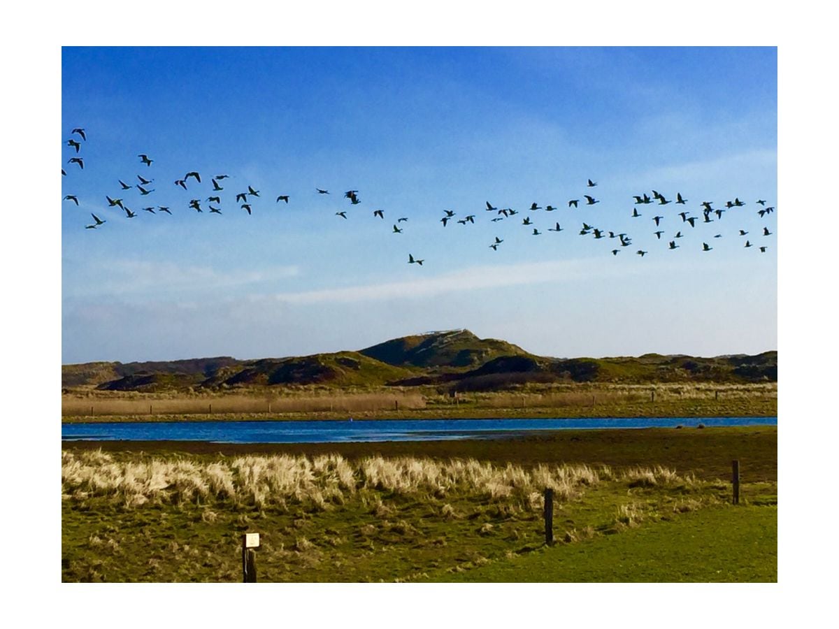 wunderschöne Dünenlandschaft