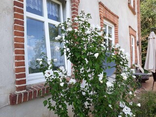 Appartement Warnkenhagen Buitenaudio-opname 6