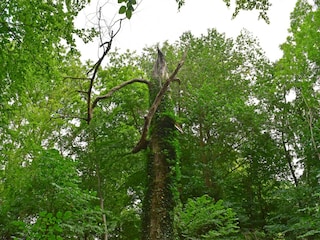 Apartment Warnkenhagen Umgebung 39