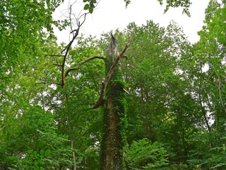 Appartement Warnkenhagen Omgeving 36