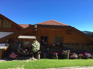 Wir lieben unsere Blumen rund ums Haus :-)