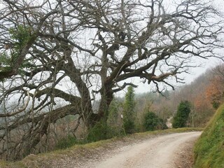 Ferienwohnung Cagli Umgebung 8
