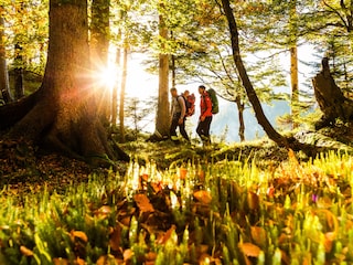 Herbstwanderung