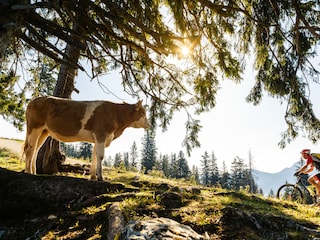 Mountainbiker mit Zuseher!