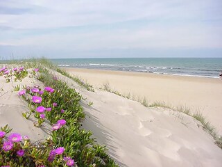 17 km langer Sandstrand teilweise mit Dünen