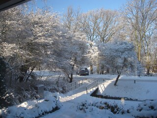 view from the house:winter