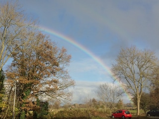 the meadows in front of the house