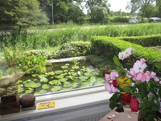 view into the pool at the front of the house