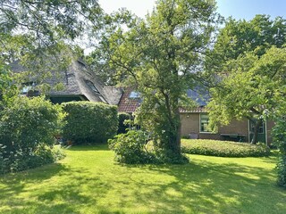 Blick ab BBQ Terrasse