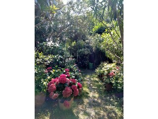 Casa per le vacanze Corsanico-Bargecchia Registrazione all'aperto 6