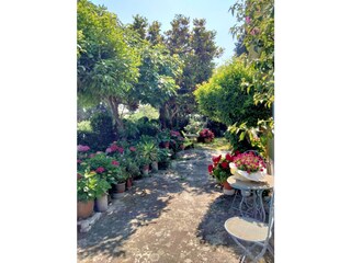 Casa per le vacanze Corsanico-Bargecchia Registrazione all'aperto 7