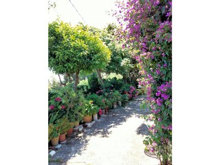 Casa per le vacanze Corsanico-Bargecchia Registrazione all'aperto 8