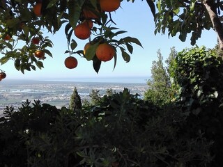 Casa per le vacanze Corsanico-Bargecchia Ambiente 37