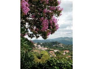 Casa per le vacanze Corsanico-Bargecchia Ambiente 38