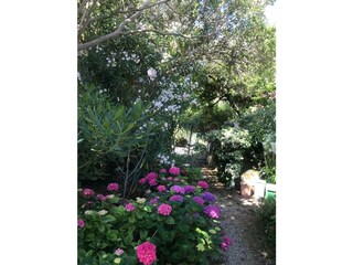 Casa per le vacanze Corsanico-Bargecchia Registrazione all'aperto 9