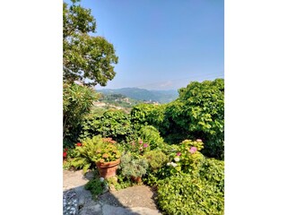 Casa per le vacanze Corsanico-Bargecchia Registrazione all'aperto 14