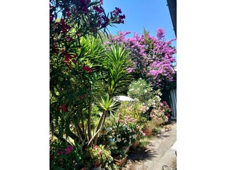 Casa per le vacanze Corsanico-Bargecchia Registrazione all'aperto 10