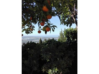 Casa per le vacanze Corsanico-Bargecchia Registrazione all'aperto 15