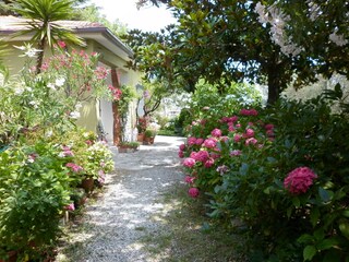 Casa per le vacanze Corsanico-Bargecchia Registrazione all'aperto 3
