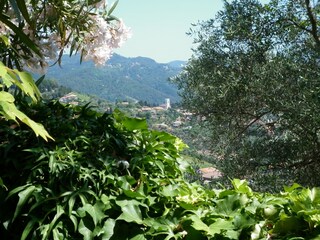 Casa per le vacanze Corsanico-Bargecchia Ambiente 33