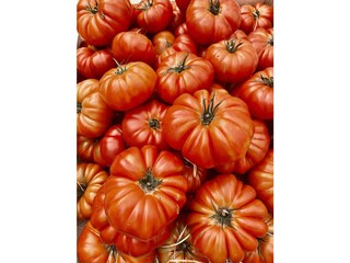 Appartamento per vacanze Cavalaire-sur-Mer Ambiente 34