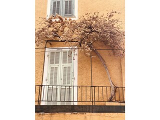 Apartamento de vacaciones Cavalaire-sur-Mer Entorno 37