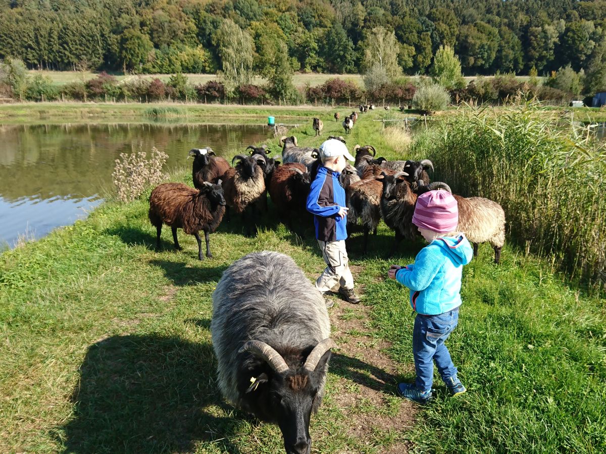 Auch die Vierbeiner freuen sich über Besuch