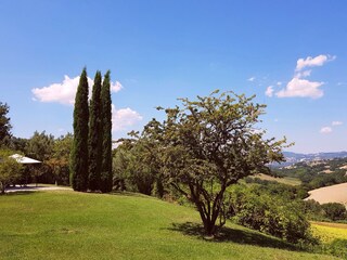 Apartamento de vacaciones Orciano di Pesaro Grabación al aire libre 8