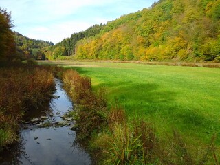 Im Holperbach-Tal /Natursteig Sieg