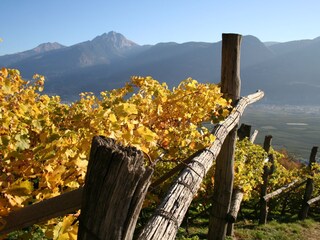 Appartamento per vacanze Algund Ambiente 39