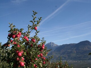 Appartamento per vacanze Algund Ambiente 33