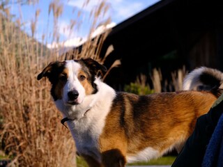 Appartamento per vacanze Algund Registrazione all'aperto 10