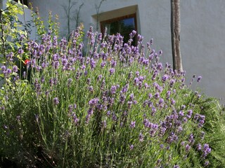 Appartamento per vacanze Algund Registrazione all'aperto 11